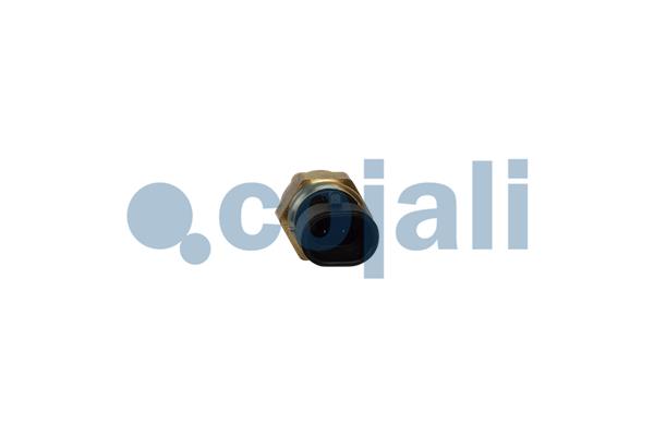 Cojali Temperatuursensor 2262054