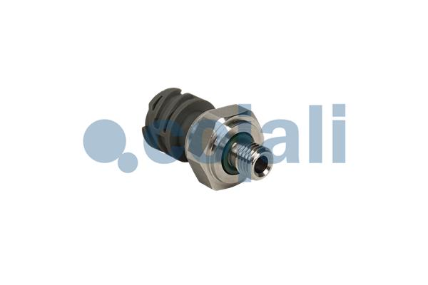 Cojali Sensor pneumatisch systeem 2262073