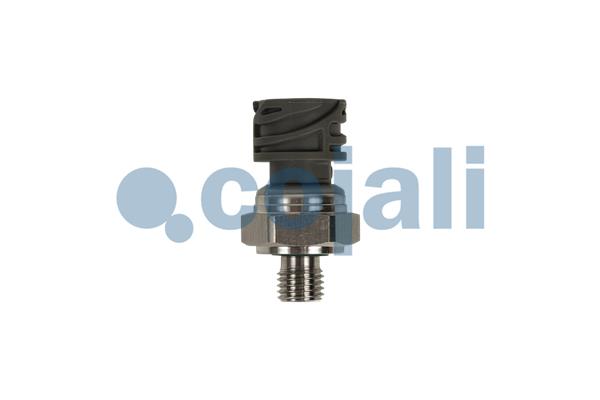 Cojali Sensor pneumatisch systeem 2262073