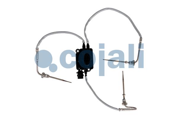 Cojali Sensor uitlaatgastemperatuur 2262655