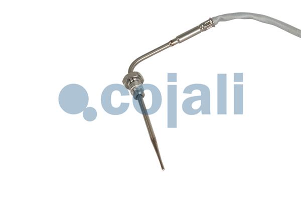 Cojali Sensor uitlaatgastemperatuur 2262655