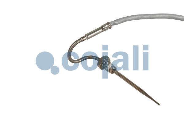 Cojali Sensor uitlaatgastemperatuur 2262655