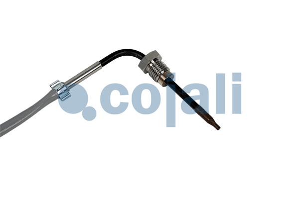 Cojali Sensor uitlaatgastemperatuur 2262666