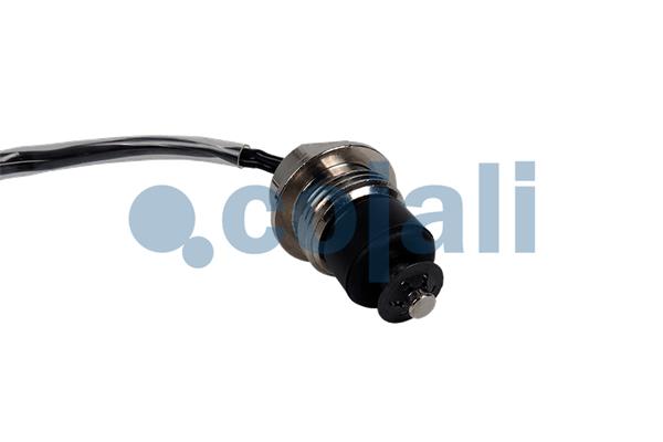 Cojali Motoroliepeil sensor 2263040