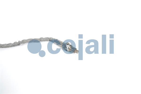 Cojali Nox-sensor (katalysator) 2269016