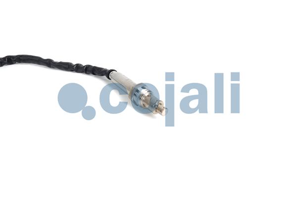 Cojali Nox-sensor (katalysator) 2269018