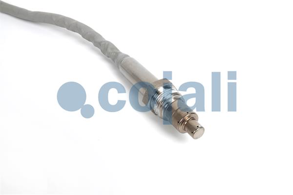 Cojali Nox-sensor (katalysator) 2269024