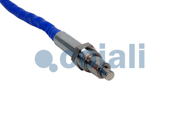 Cojali Nox-sensor (katalysator) 2269036