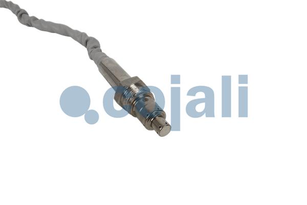 Cojali Nox-sensor (katalysator) 2269062