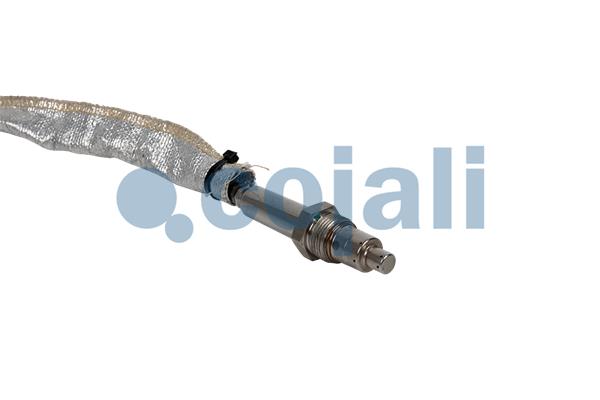 Cojali Nox-sensor (katalysator) 2269067