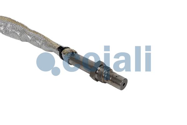 Cojali Nox-sensor (katalysator) 2269068