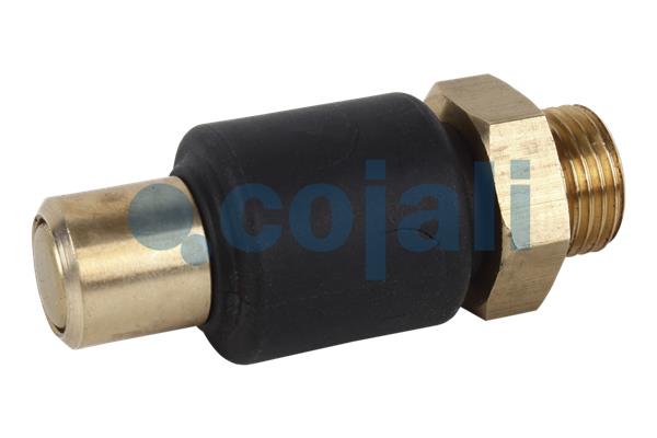Cojali Multicircuit beschermingsklep 2280108