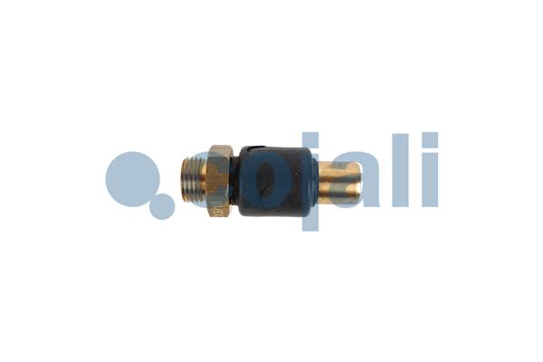 Multicircuit beschermingsklep Cojali 2280111