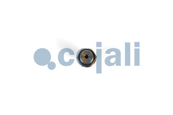 Cojali Multicircuit beschermingsklep 2280111