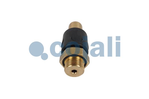Cojali Multicircuit beschermingsklep 2280111