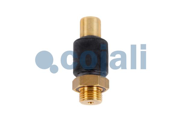 Multicircuit beschermingsklep Cojali 2280112
