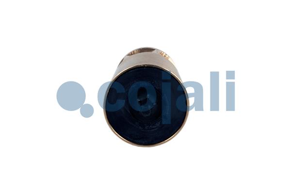 Cojali Multicircuit beschermingsklep 2280114