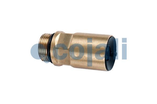 Multicircuit beschermingsklep Cojali 2280116