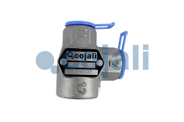 Meerwegklep Cojali 2307100