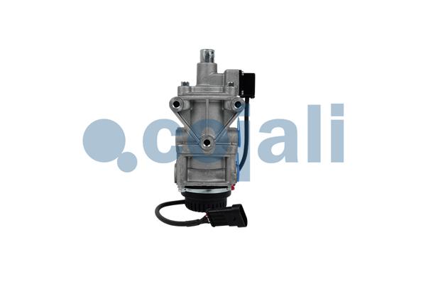 Cojali Remklep 2312304