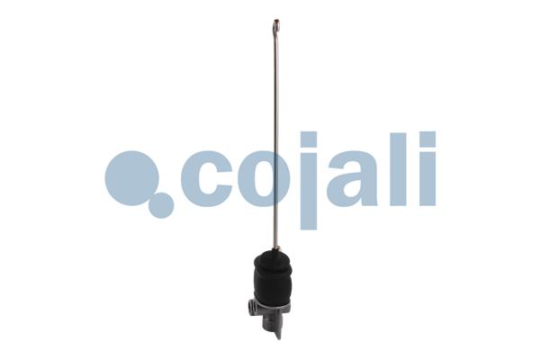 Cojali Luchtveerklep 2314111