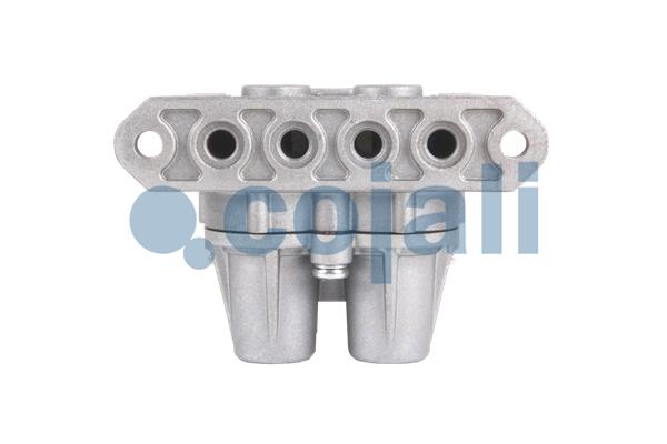 Cojali Multicircuit beschermingsklep 2322425