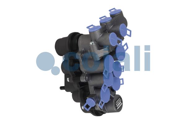 Cojali Multicircuit beschermingsklep 2322503