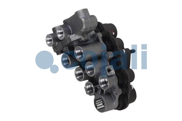 Cojali Multicircuit beschermingsklep 2322503
