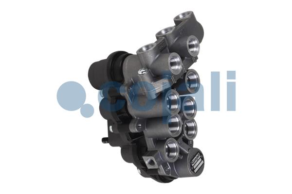 Cojali Multicircuit beschermingsklep 2322503