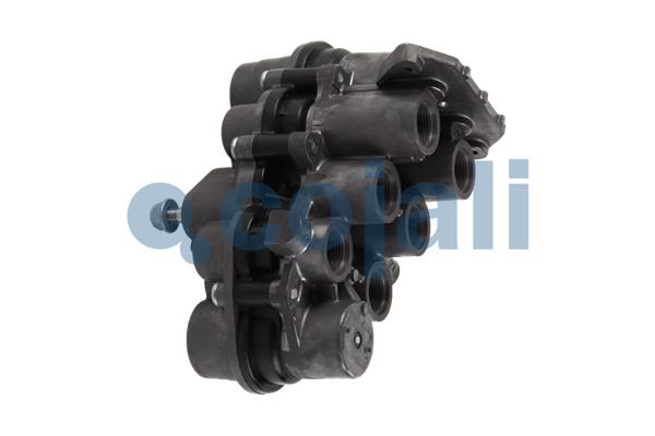 Cojali Multicircuit beschermingsklep 2322505