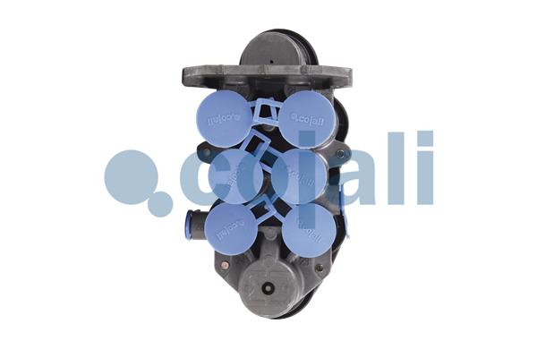 Cojali Multicircuit beschermingsklep 2322509