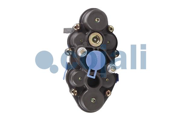 Cojali Multicircuit beschermingsklep 2322509
