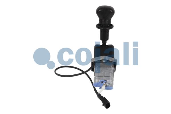 Cojali Remklep 2324201