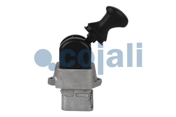 Cojali Remklep 2324816