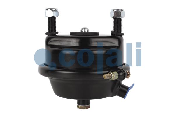 Cojali Remcilindermembraan 2351300