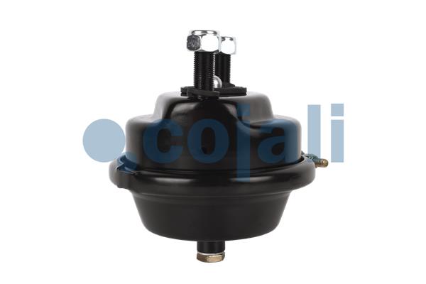 Cojali Remcilindermembraan 2351300