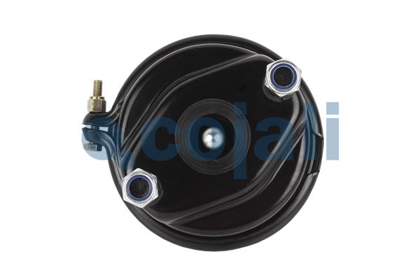 Cojali Remcilindermembraan 2351300