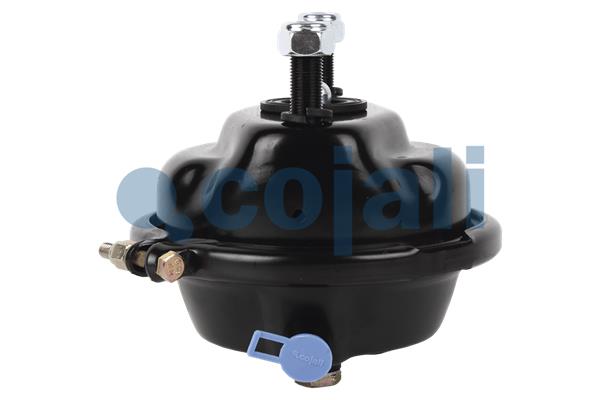 Cojali Remcilindermembraan 2351302