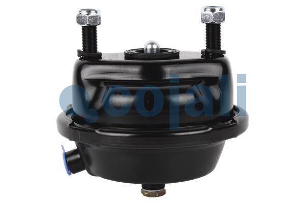 Cojali Remcilindermembraan 2351302