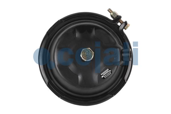 Cojali Remcilindermembraan 2351302