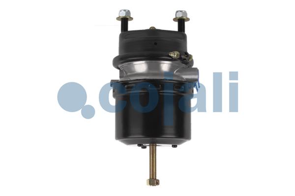 Cojali Veeraccumulator remcilinder 2351305
