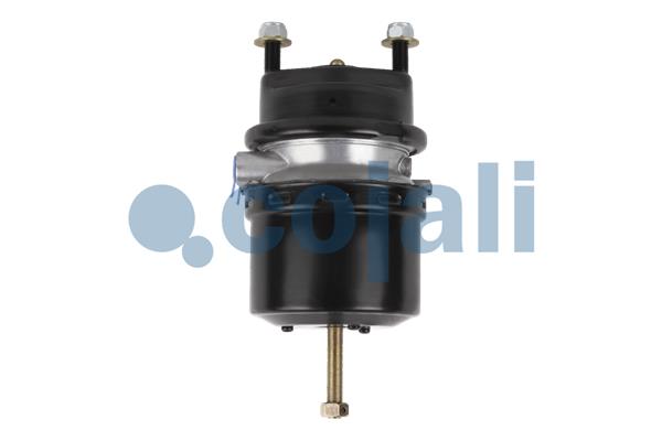 Cojali Veeraccumulator remcilinder 2351305