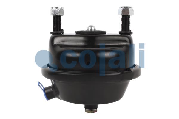 Cojali Remcilindermembraan 2351307