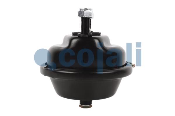 Cojali Remcilindermembraan 2351307