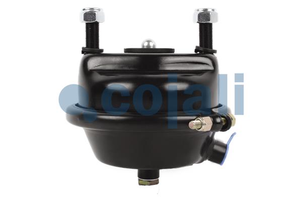 Cojali Remcilindermembraan 2351307