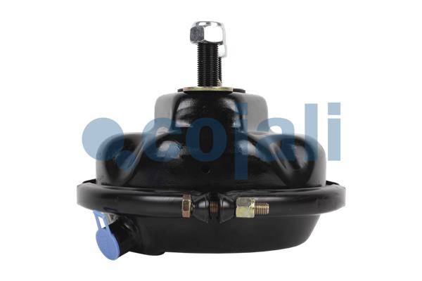 Cojali Remcilindermembraan 2351308