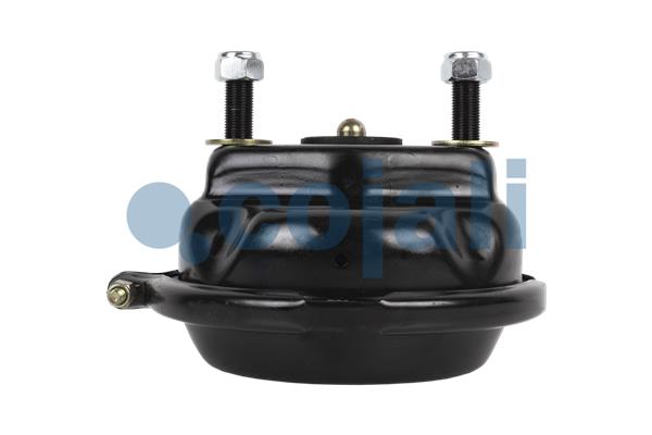 Cojali Remcilindermembraan 2351308