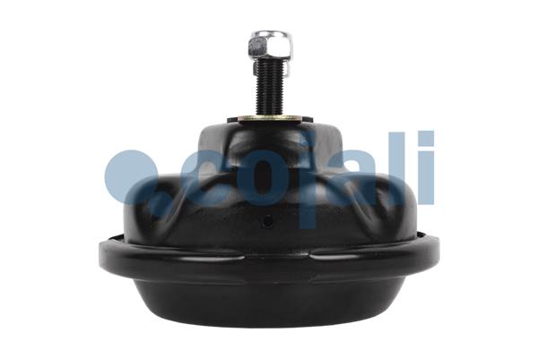 Cojali Remcilindermembraan 2351308