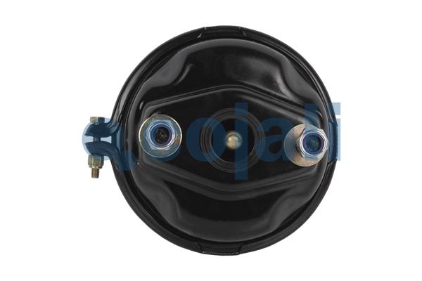 Cojali Remcilindermembraan 2351308