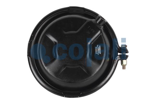 Cojali Remcilindermembraan 2351308